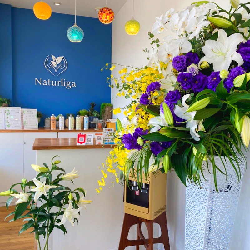 ナチュリガの店内写真