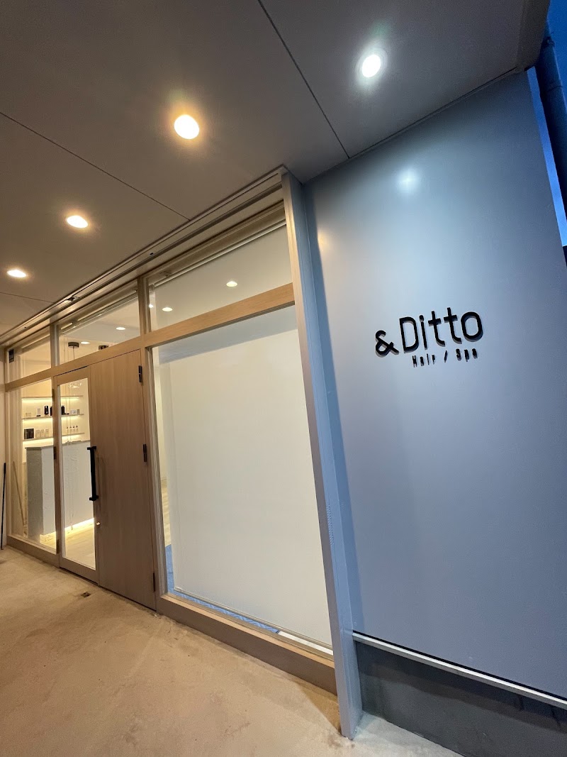 &Ditto(エンディト)の店内写真