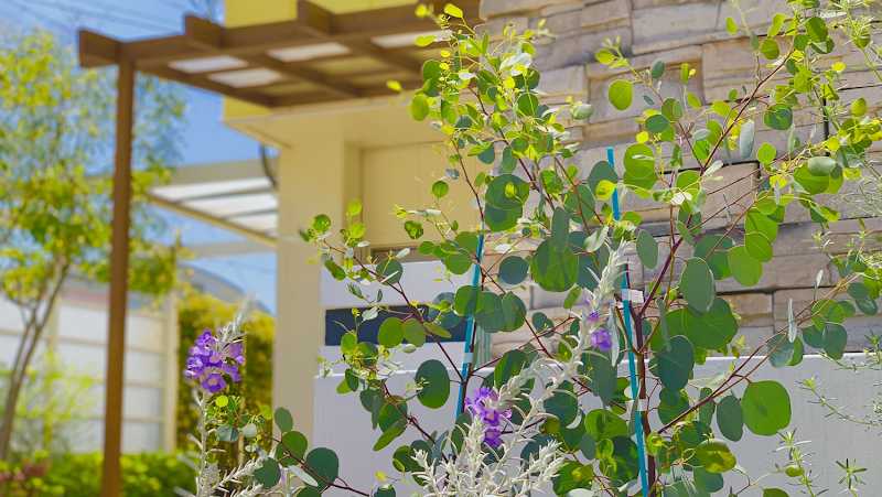 Lococoメンズ吉敷店の店内写真